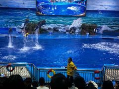 -多彩贵州城极地海洋世界