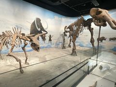 -辽宁古生物博物馆
