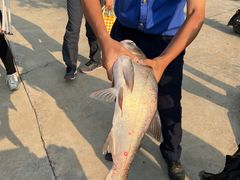 -静之湖湖畔餐厅