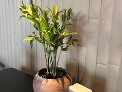 -苏帮袁·竹(北京坊店)