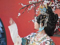 -星光摄影器材城