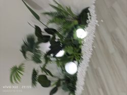 -HEYAN荷妍专业脱毛连锁机构