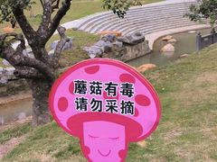 -黄埔油麻山森林公园
