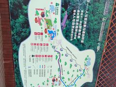 -野象谷景区