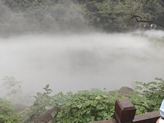 -北京植物园南门售票处