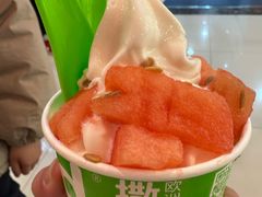 -Salud撒露欧洲冻酸奶(蓝色港湾店)