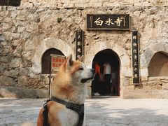 -白水寺森林公园