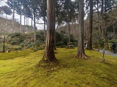 -三千院