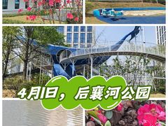 -后襄河公园