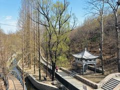 -白水寺森林公园