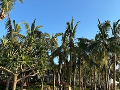 -日落吧·海景咖啡厅·餐酒吧·鸡尾酒·下午茶·乐队表演·浪漫夕阳·三亚文华东方酒店