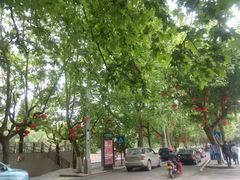 -遵义红军烈士陵园(凤凰山公园)