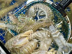 -明记海鲜大排档(巽寮湾店)