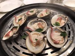 罗勒蒸贵妃蚌-青蓬蒸汽海鲜·深圳老字号·团建聚会(壹方城店)