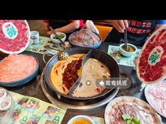 -巴蜀大将火锅(春熙店)