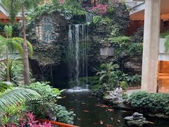 -广州白天鹅宾馆