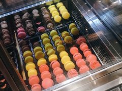 -青岛证大喜玛拉雅酒店·Z1餐厅