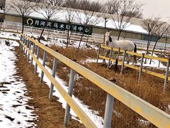 -月河湾马术俱乐部(朝阳店)