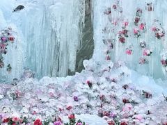 -洛阳白云山景区