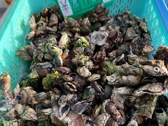 -外伶仃岛海鲜市场