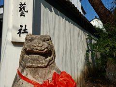 -金泽古镇