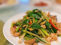 鲨鱼肚-光头匠