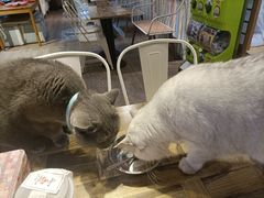 -小时光咖啡馆(开森度假森林店)