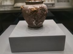 -云南省博物馆