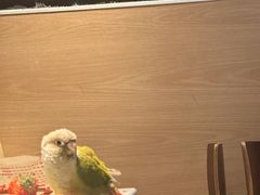 -麦当劳(大栅栏店)