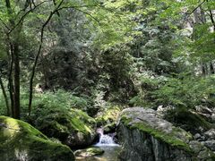 -牛背梁国家森林公园