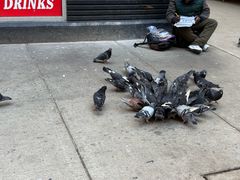 -66号公路起点牌