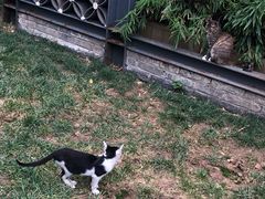 -老赵面店(大西路店)