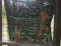 -芽庄珍珠岛游乐园