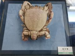 -浙江自然博物院(杭州馆)