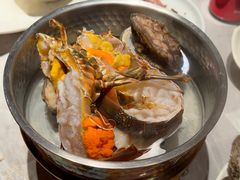 -雍容荟活波龙自助餐(IFS黑金店)