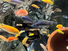 -太平洋海底世界