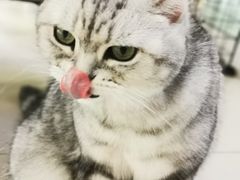 -平行世界·猫咖(首经贸店)
