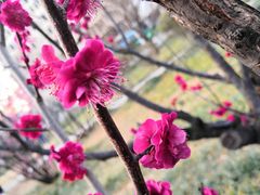-山东大学(趵突泉校区)