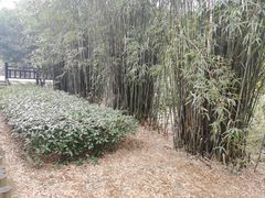 -九龙潭景区