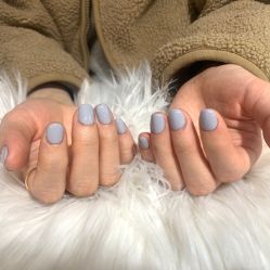 -BELLAREAL新美社