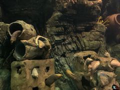 -珠海长隆海洋王国
