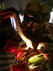 -恐龙探索乐园(磁器口店)