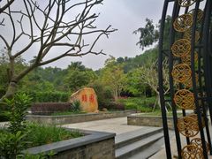 -大屏嶂森林公园