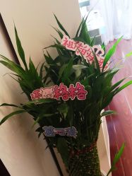 -美肤盾祛痘·问题肌头疗管理中心