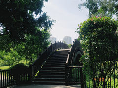 -五缘湾湿地公园