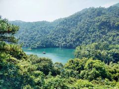 -鼎湖山风景区