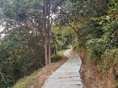 -黄埔油麻山森林公园