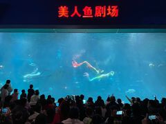 -福州罗源湾海洋世界旅游区