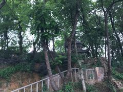 -岳麓山风景名胜区