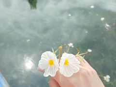 -丽江泸沽湖景区